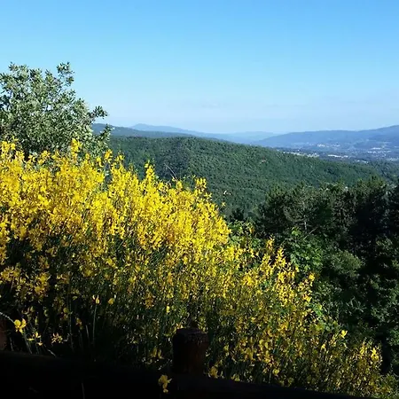 Borgo Tramonte Bed & Breakfast