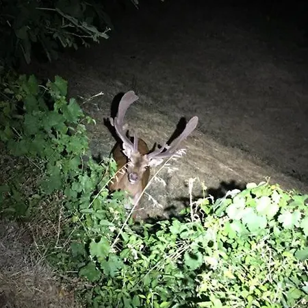 Borgo Tramonte Bed & Breakfast