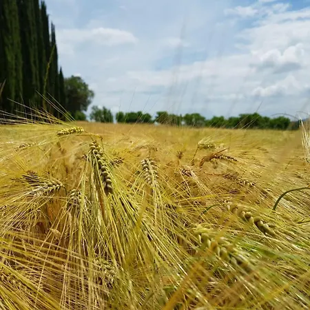 Borgo Tramonte Bed & Breakfast *