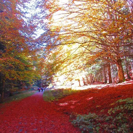 Borgo Tramonte Bed & Breakfast Pratovecchio