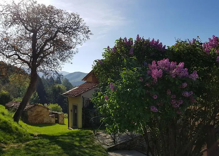 Borgo Tramonte Pratovecchio