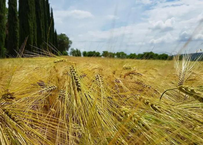 Borgo Tramonte Alojamento de Acomodação e Pequeno-almoço 3*